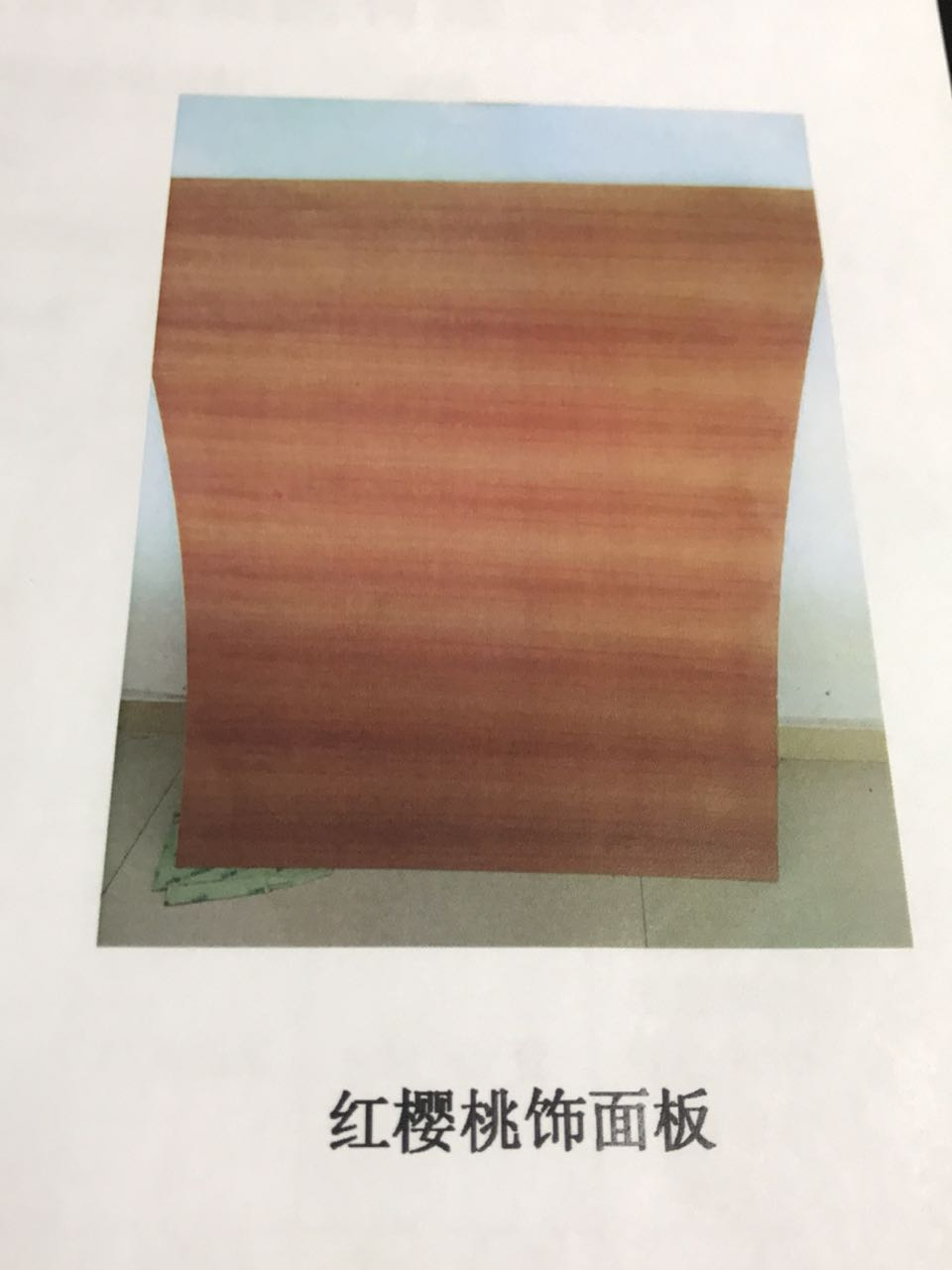 瓦力游戏